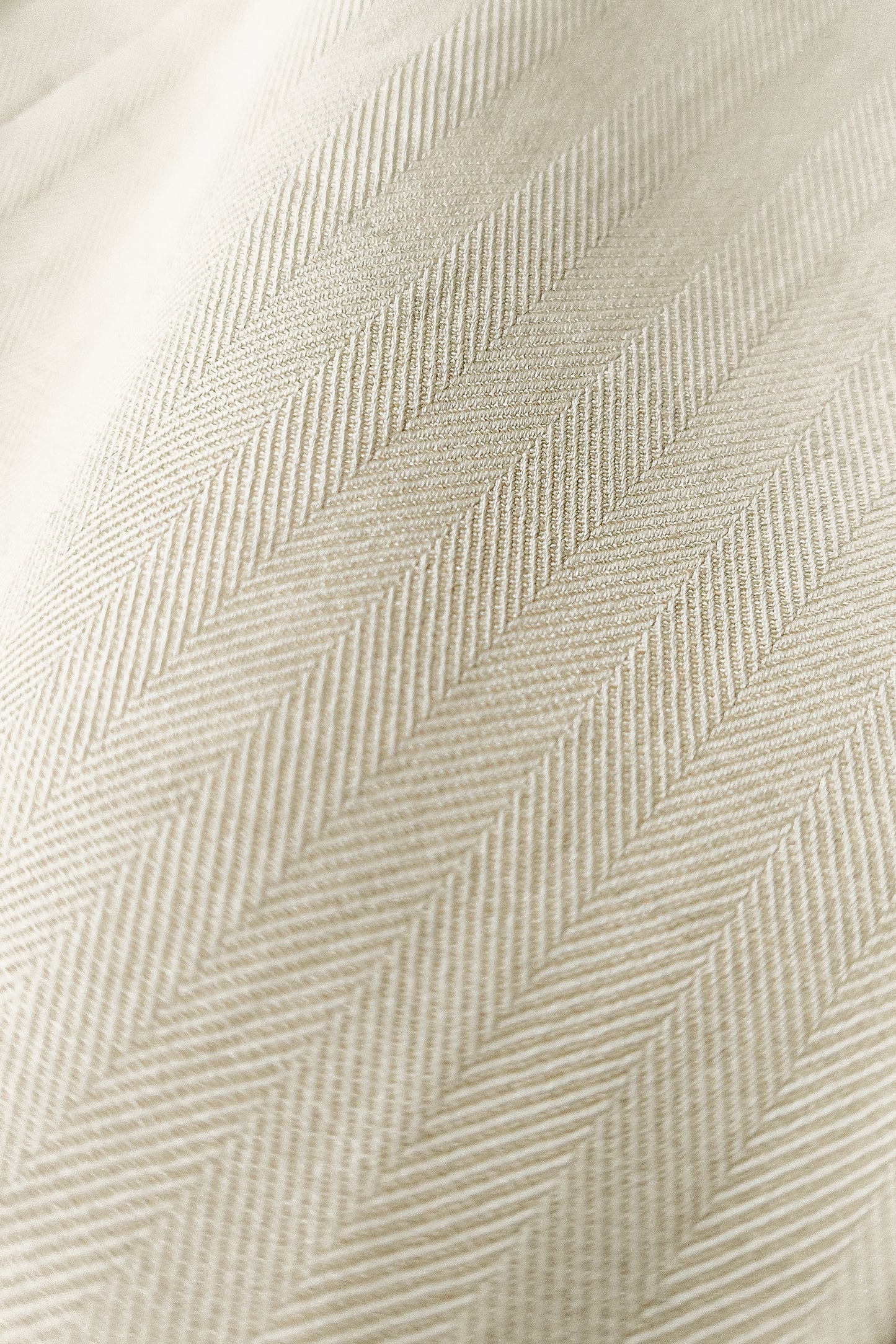 Pantalón talle alto chino crudo | Denfert